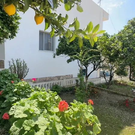 Daire Shqiponja Saranda